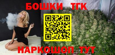индика Пыть-Ях