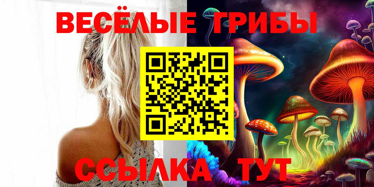 продажа наркотиков  Галлюциногенные грибы Psilocybine cubensis  Вход с VPN  Ртищево 